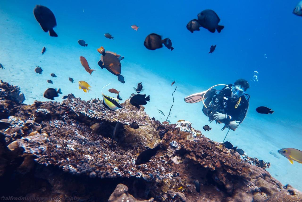 吉利特拉万安 曼塔潜水度假酒店 吉利特拉旺安 外观 照片